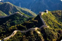 The Great Wall 